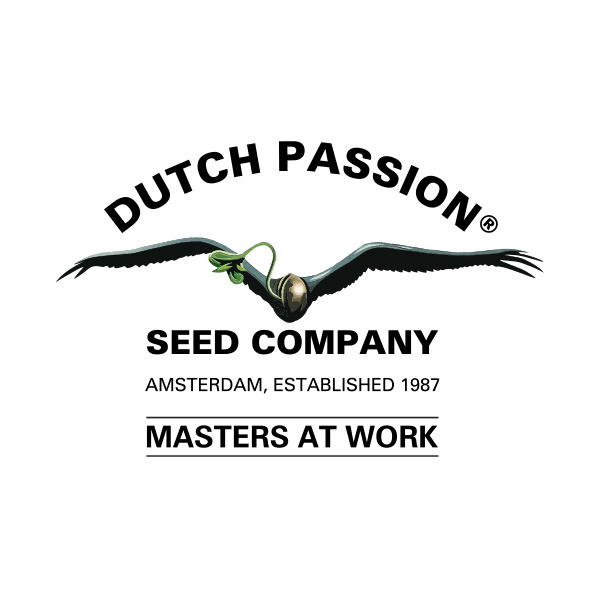 Dutch Passion