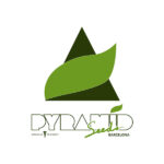 Pyramid Seeds