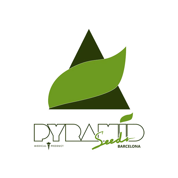 Pyramid Seeds