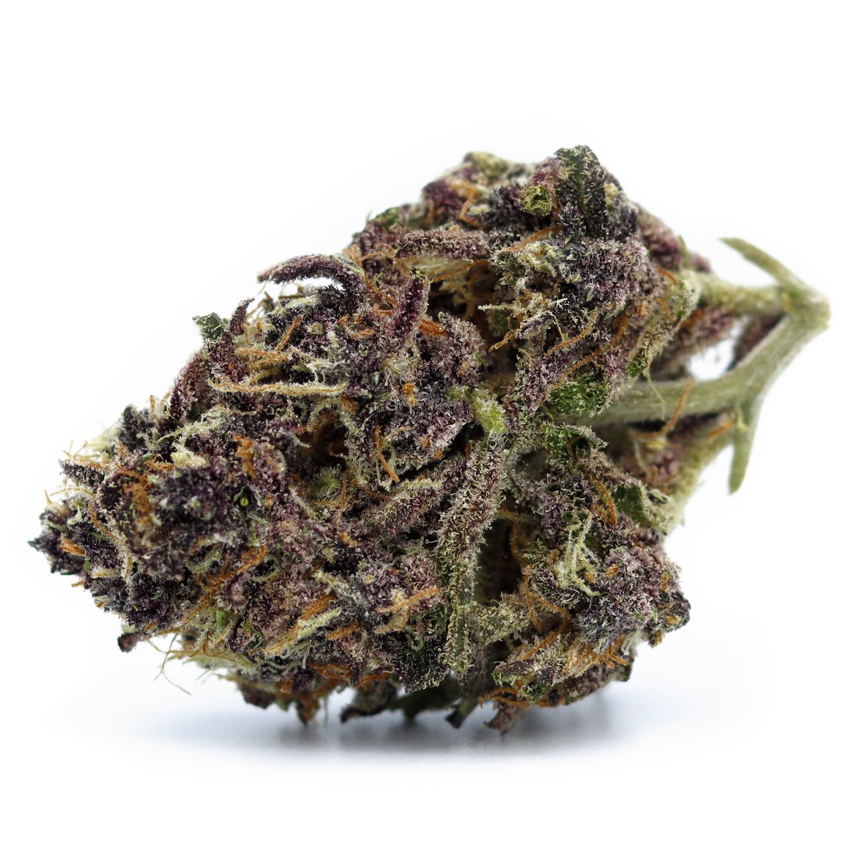 Black Papaya