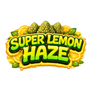 Super Lemon Haze