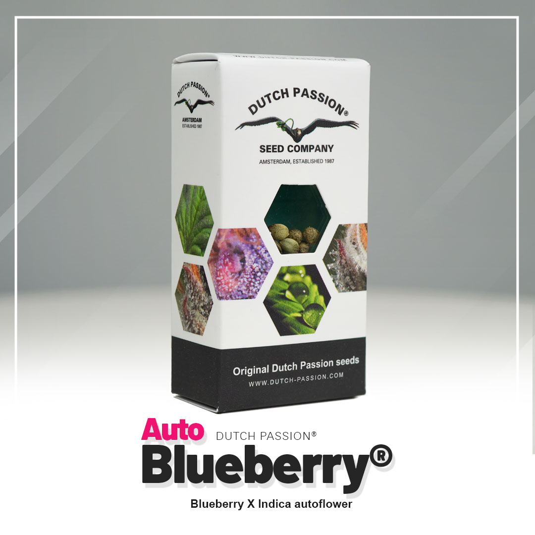 Auto Blueberry®
