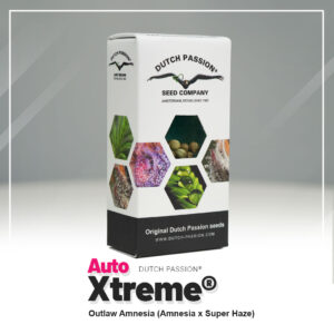 Auto Xtreme Haze®