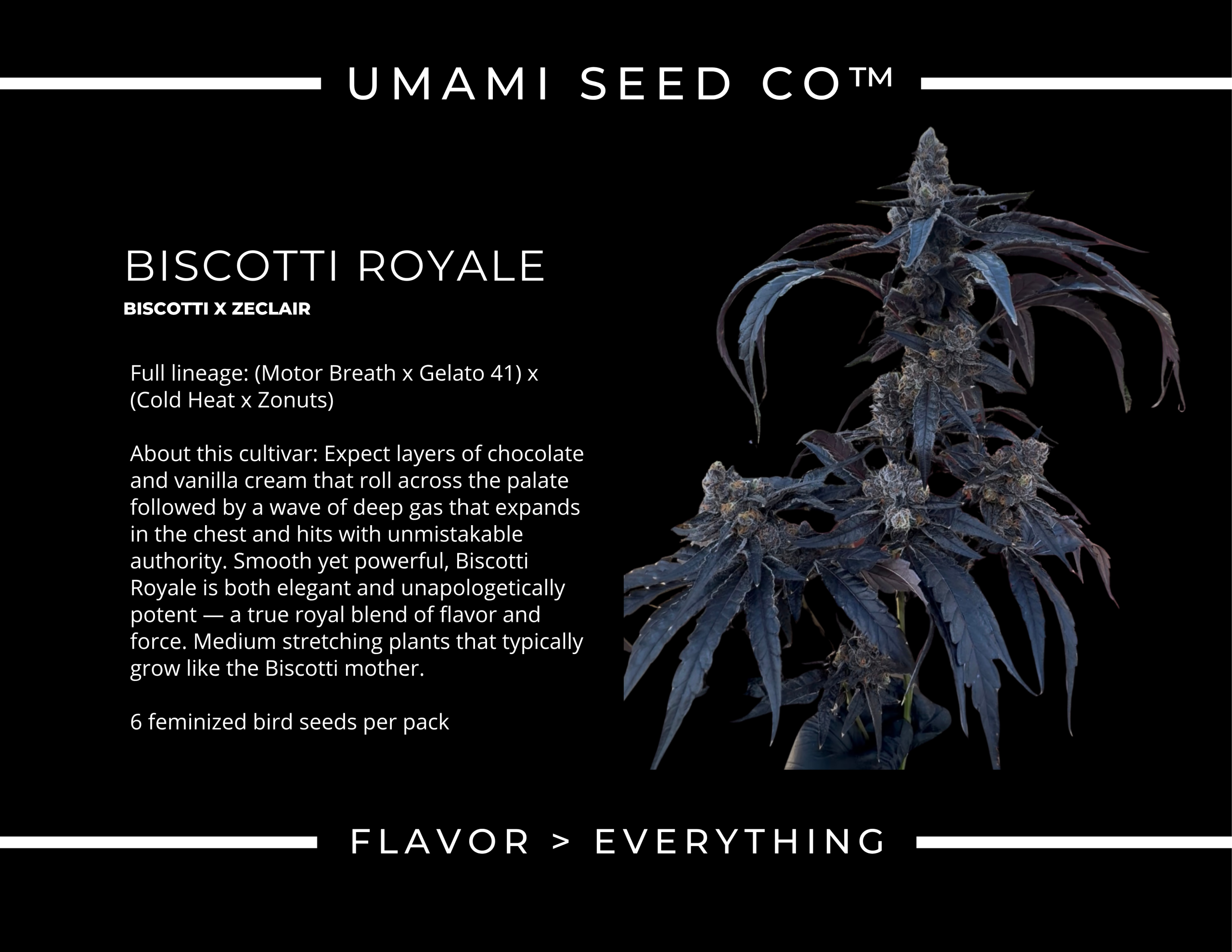 Biscotti Royale