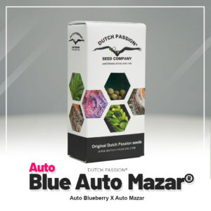 Blue Auto Mazar®
