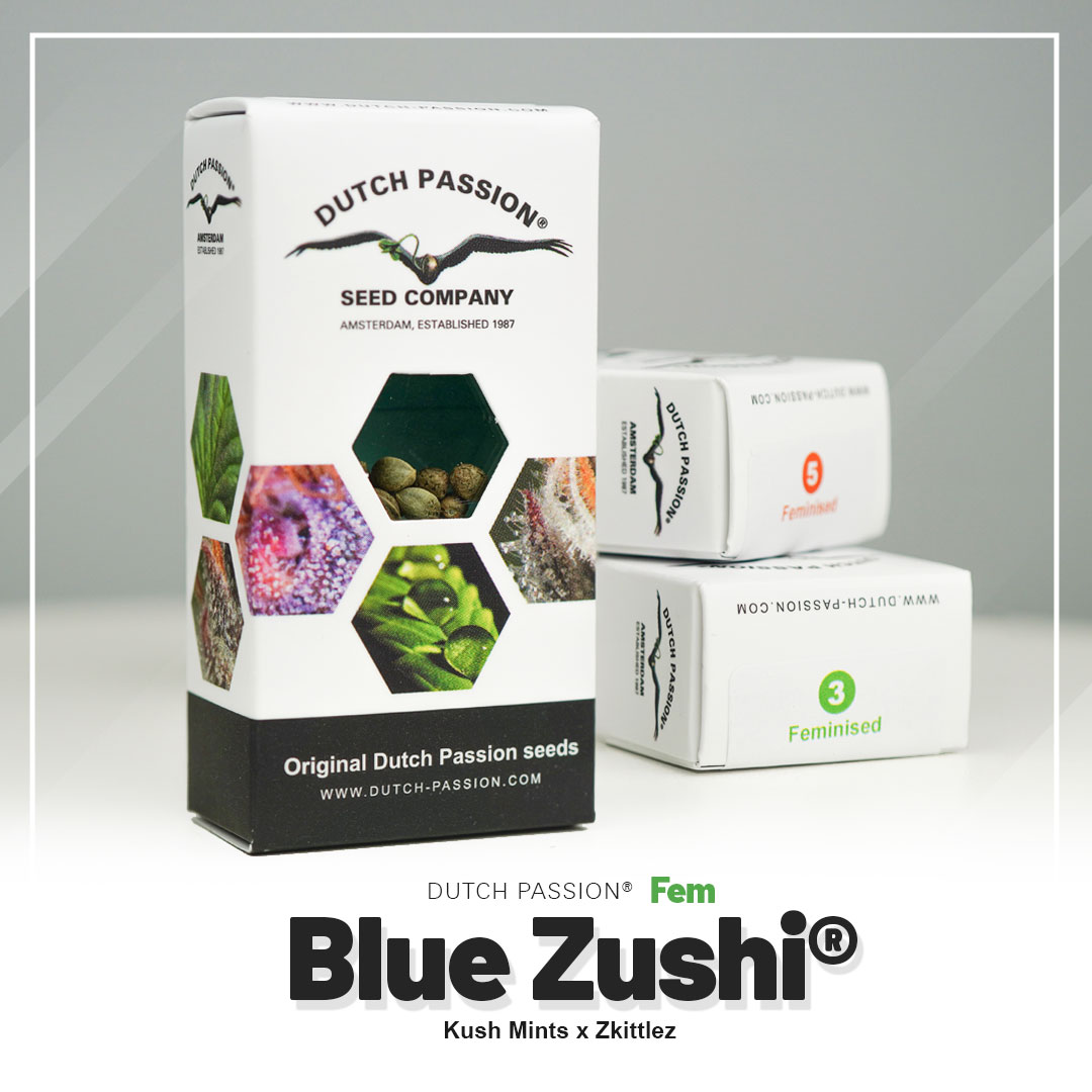 Blue Zushi