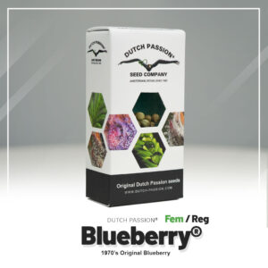 Blueberry®