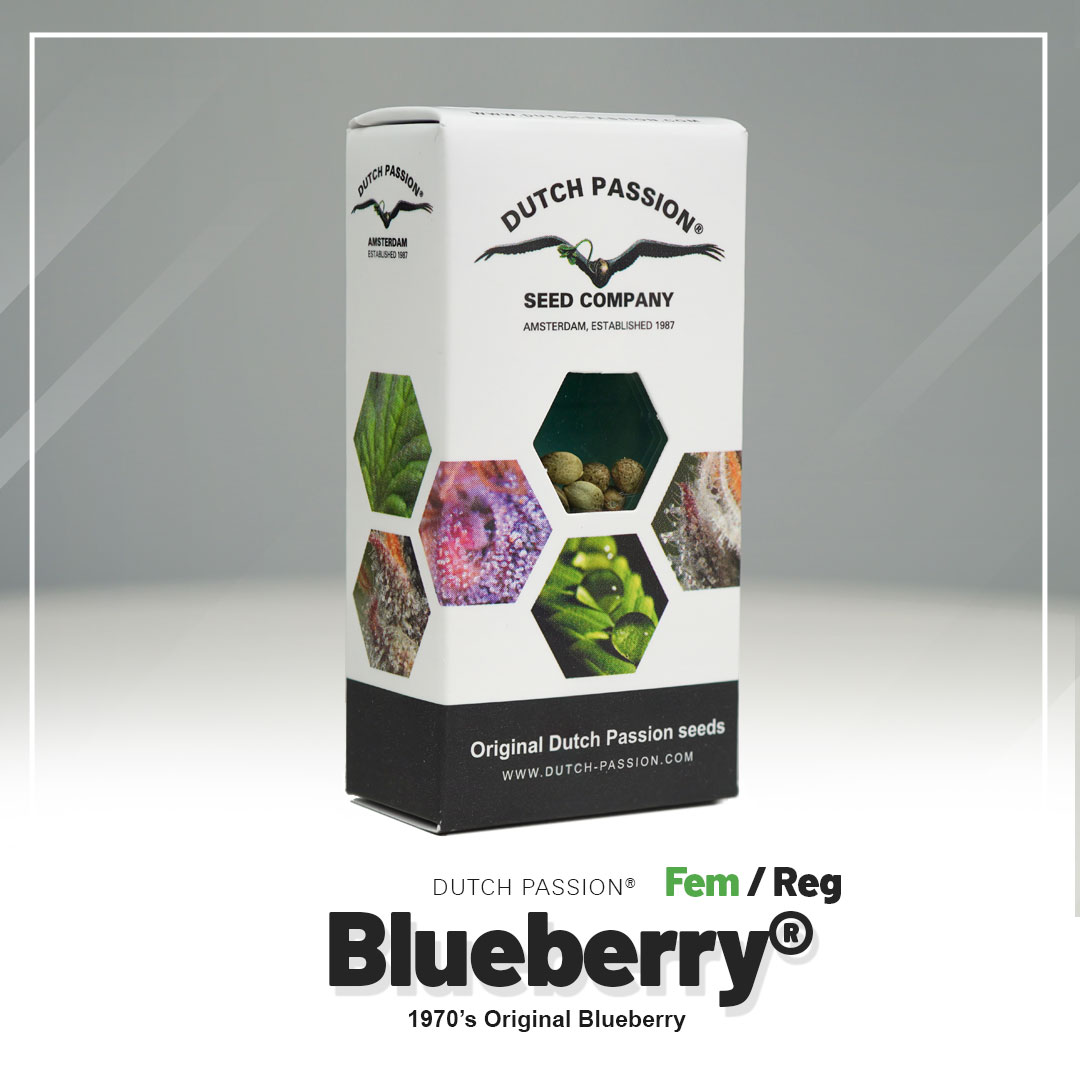 Blueberry®