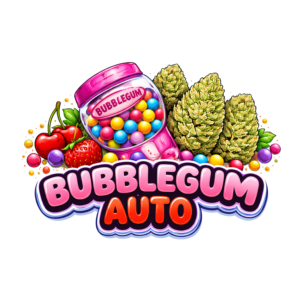 Bubblegum Auto