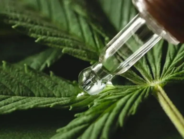 Cannabis Medicinal e esporte: Dr. Gustavo Medeiros revela os benefícios na Expo Cannabis Brasil