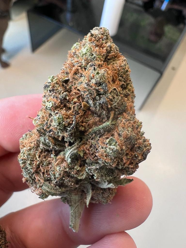 Caramelo CBD