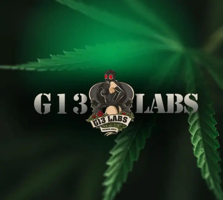 G13 Labs: um legado de um banco de vanguarda