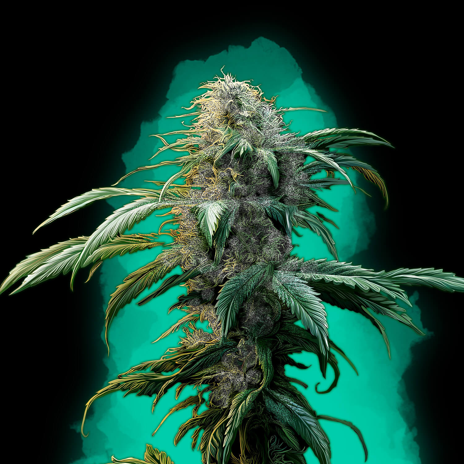 Bubba Kush
