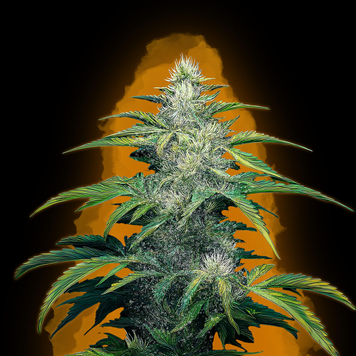 Cheese Auto