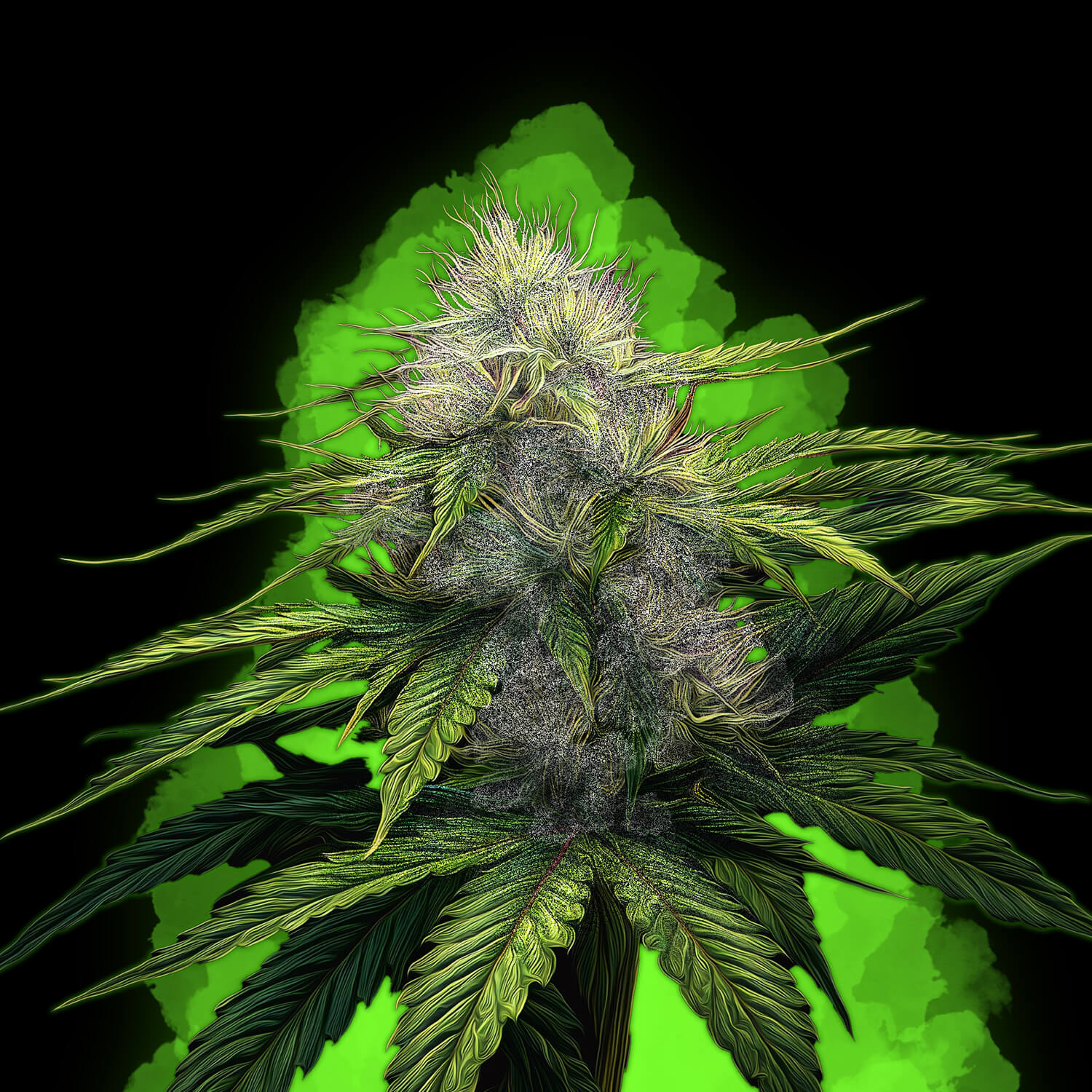 Lemon Kush
