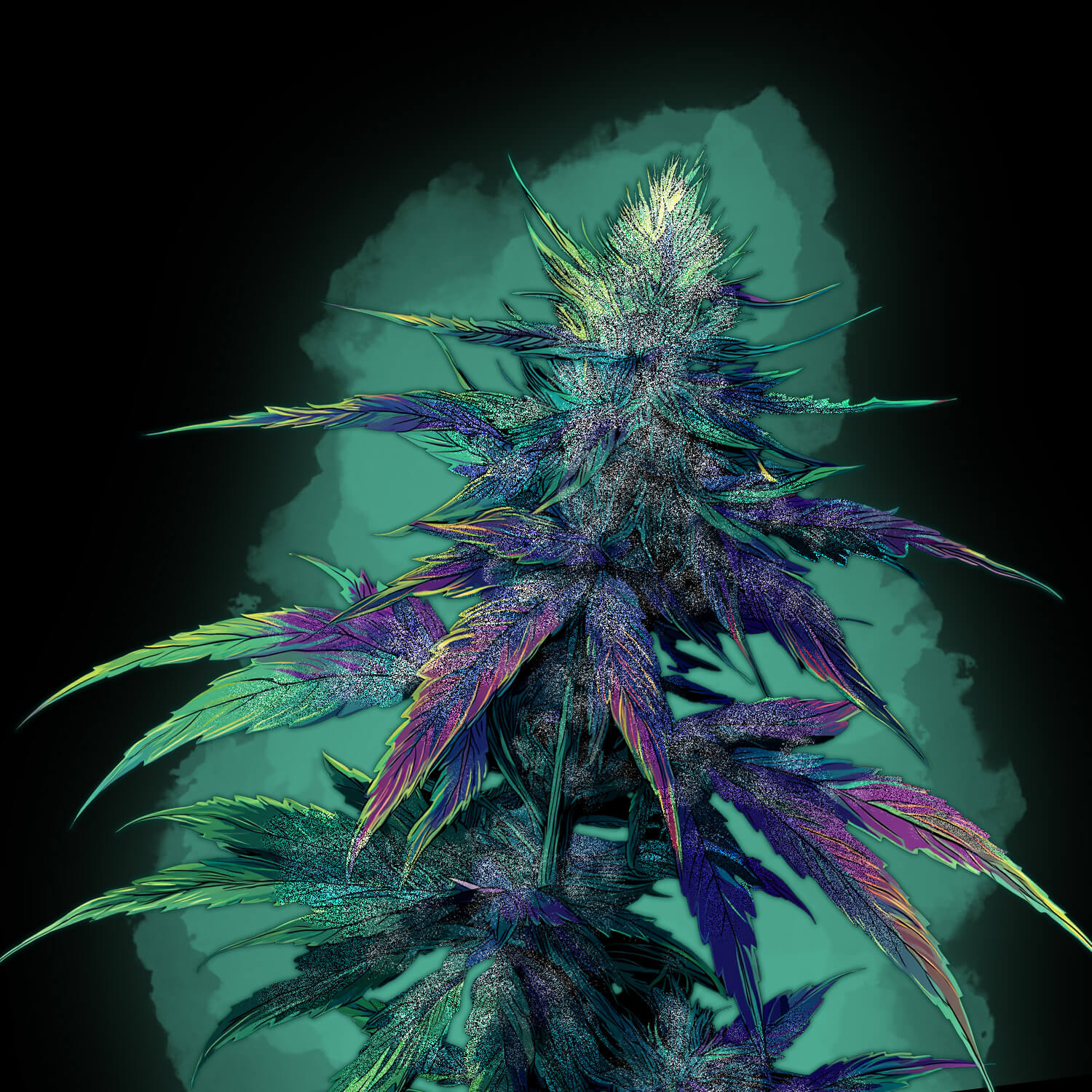 The Northern Lights