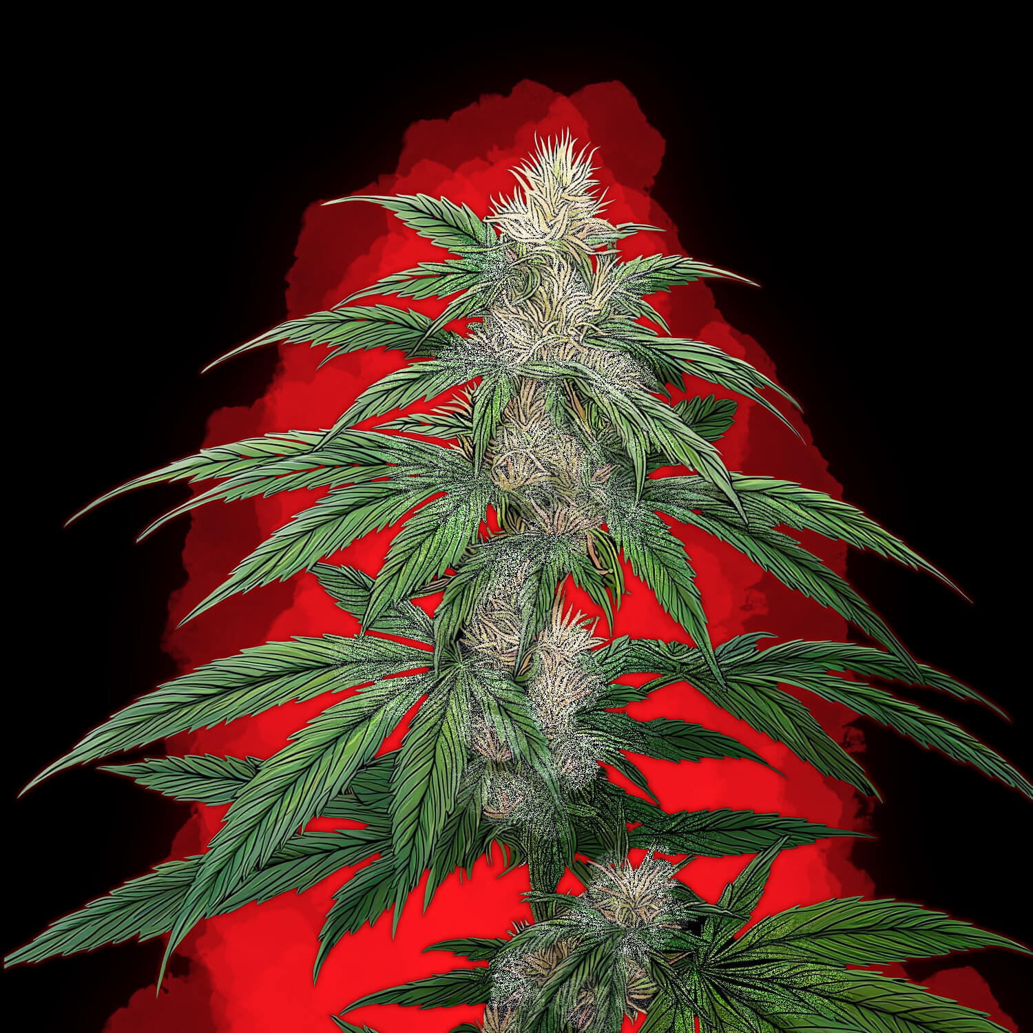 Strawberry Pie Auto
