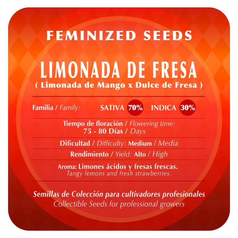 Limonada de Fresa