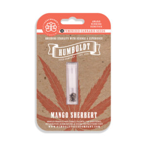 Mango Sherbert