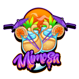 Mimosa