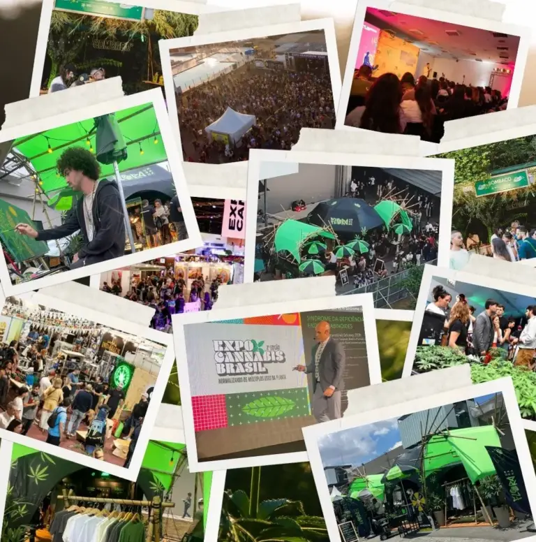 Moldando o futuro da cannabis: os eventos que marcaram o ano de 2024