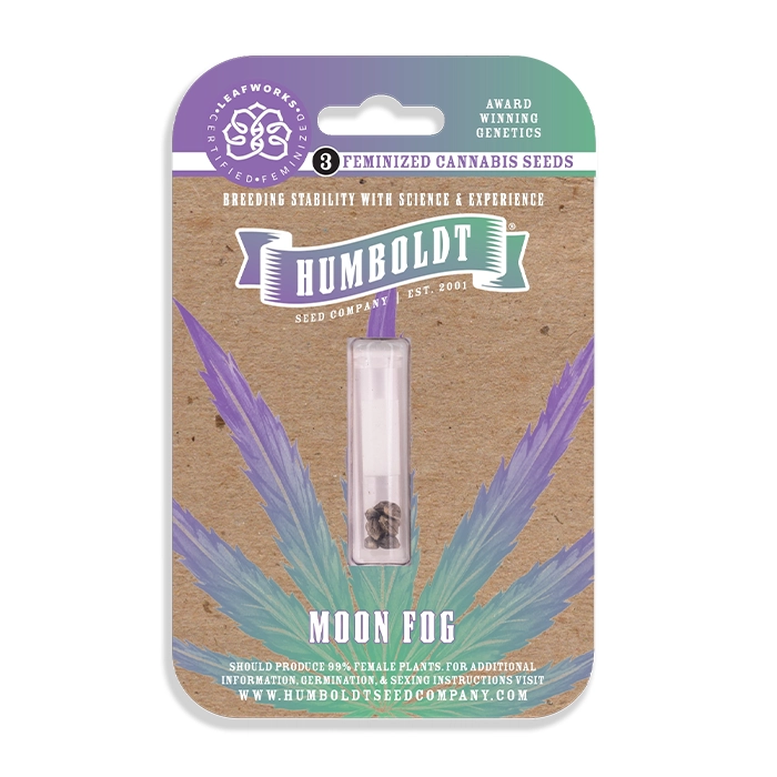 Moon Fog