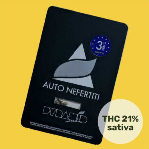 Nefertiti