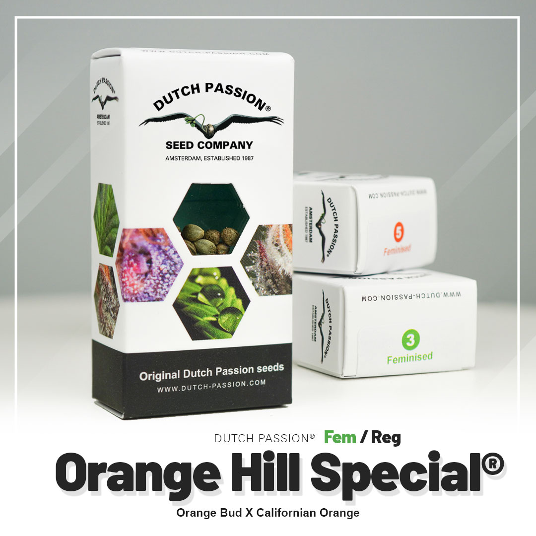 Orange Hill Special®