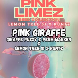 Pink Giraffe