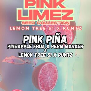 Pink Piña