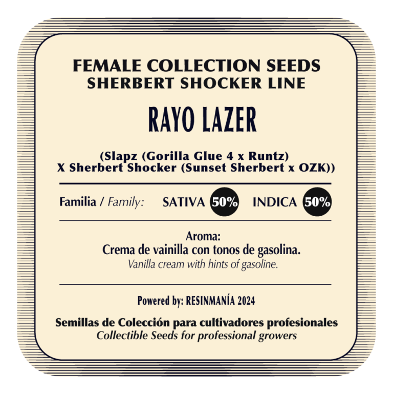 Rayo Lazer