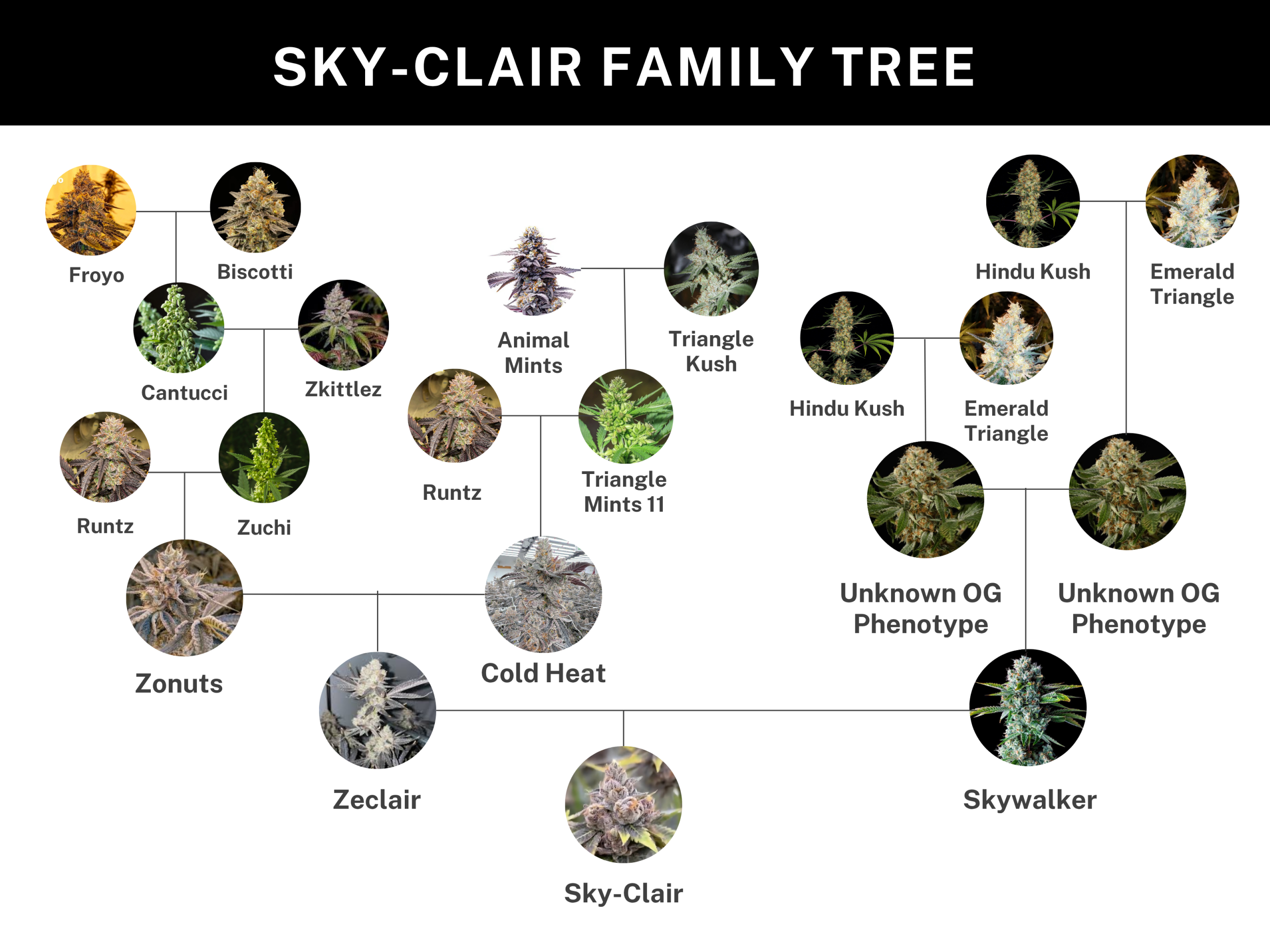 Sky-Clair