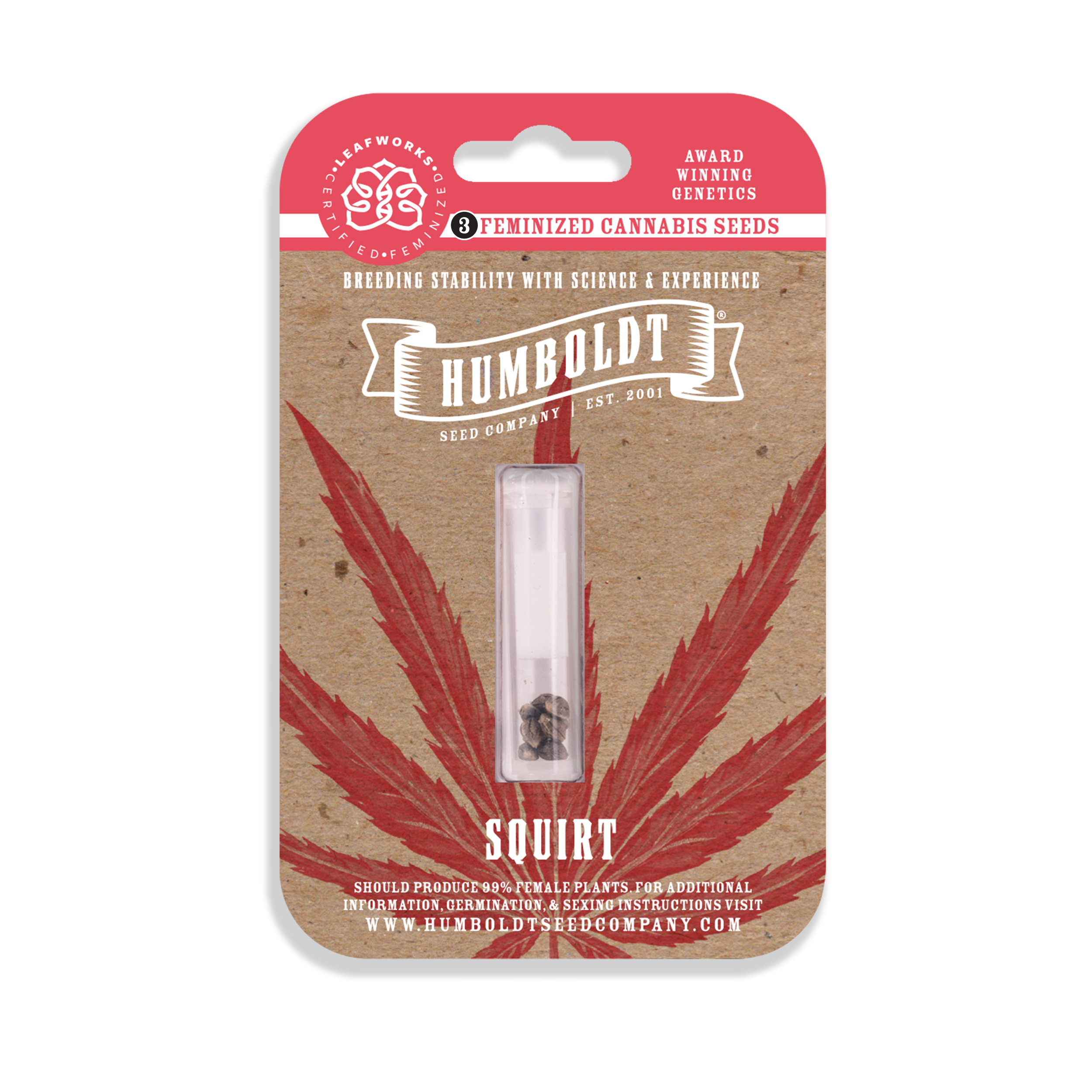 Squirt