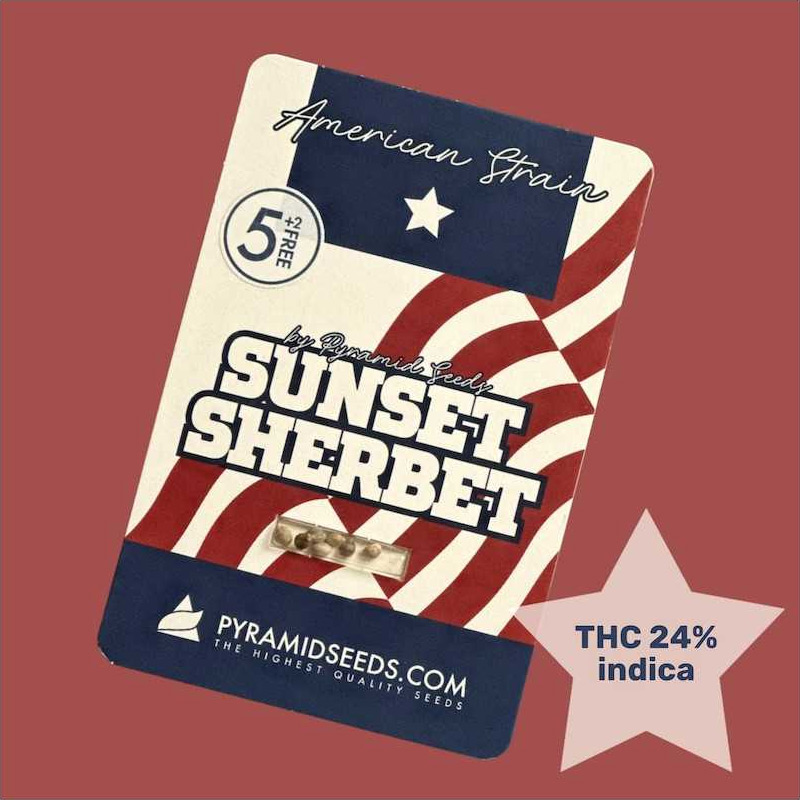 Sunset Sherbet