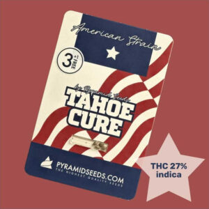 Tahoe Cure