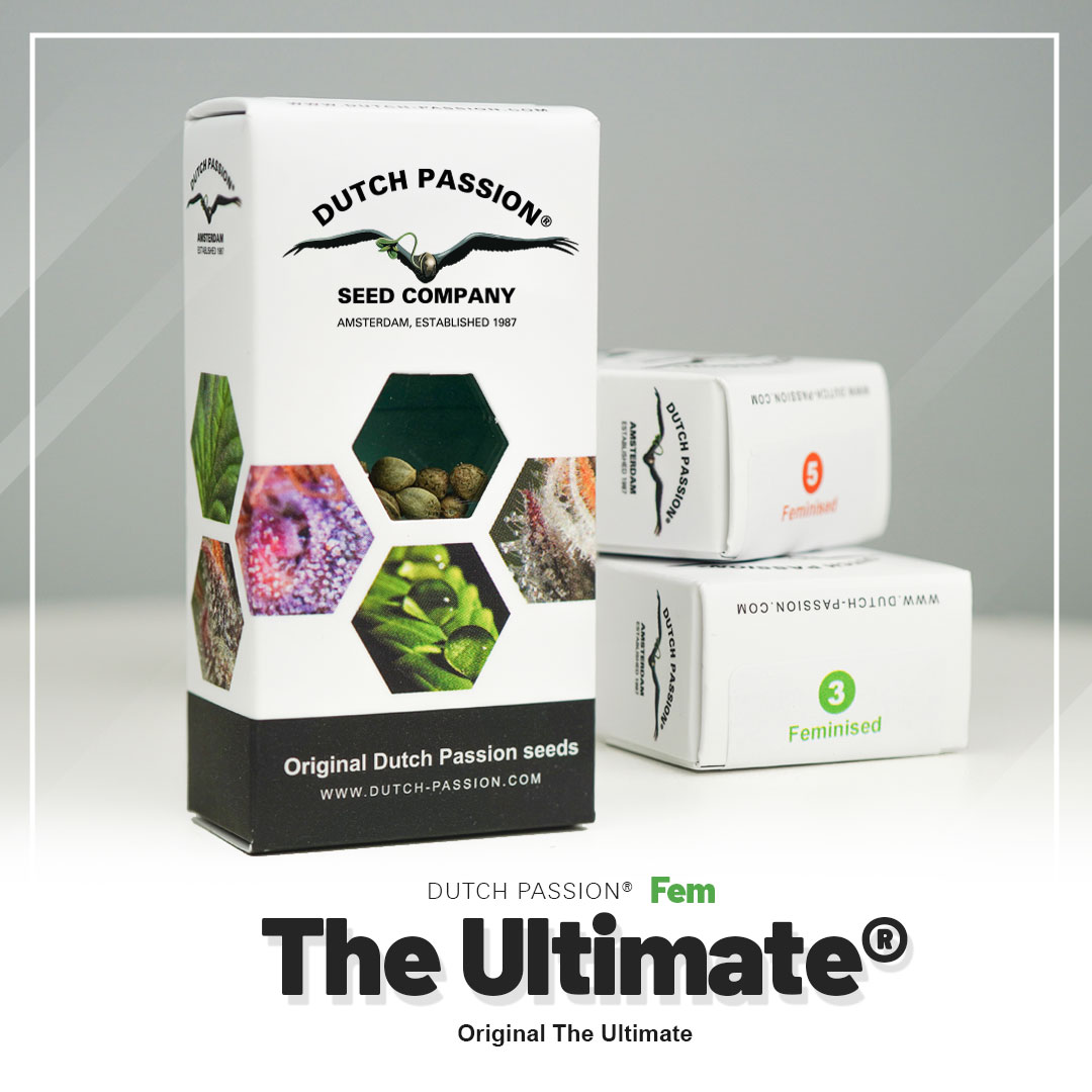 The Ultimate®
