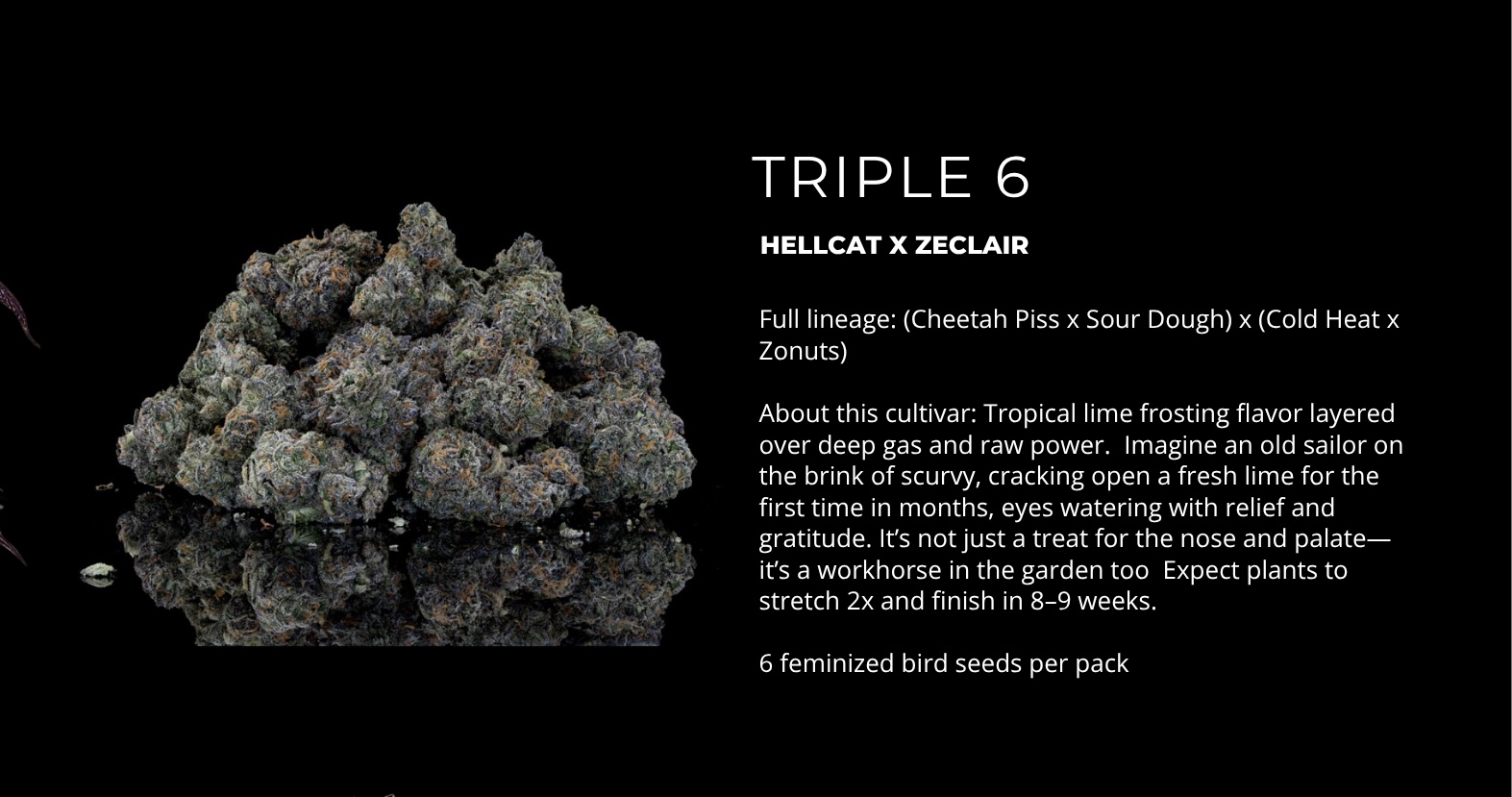 Triple 6