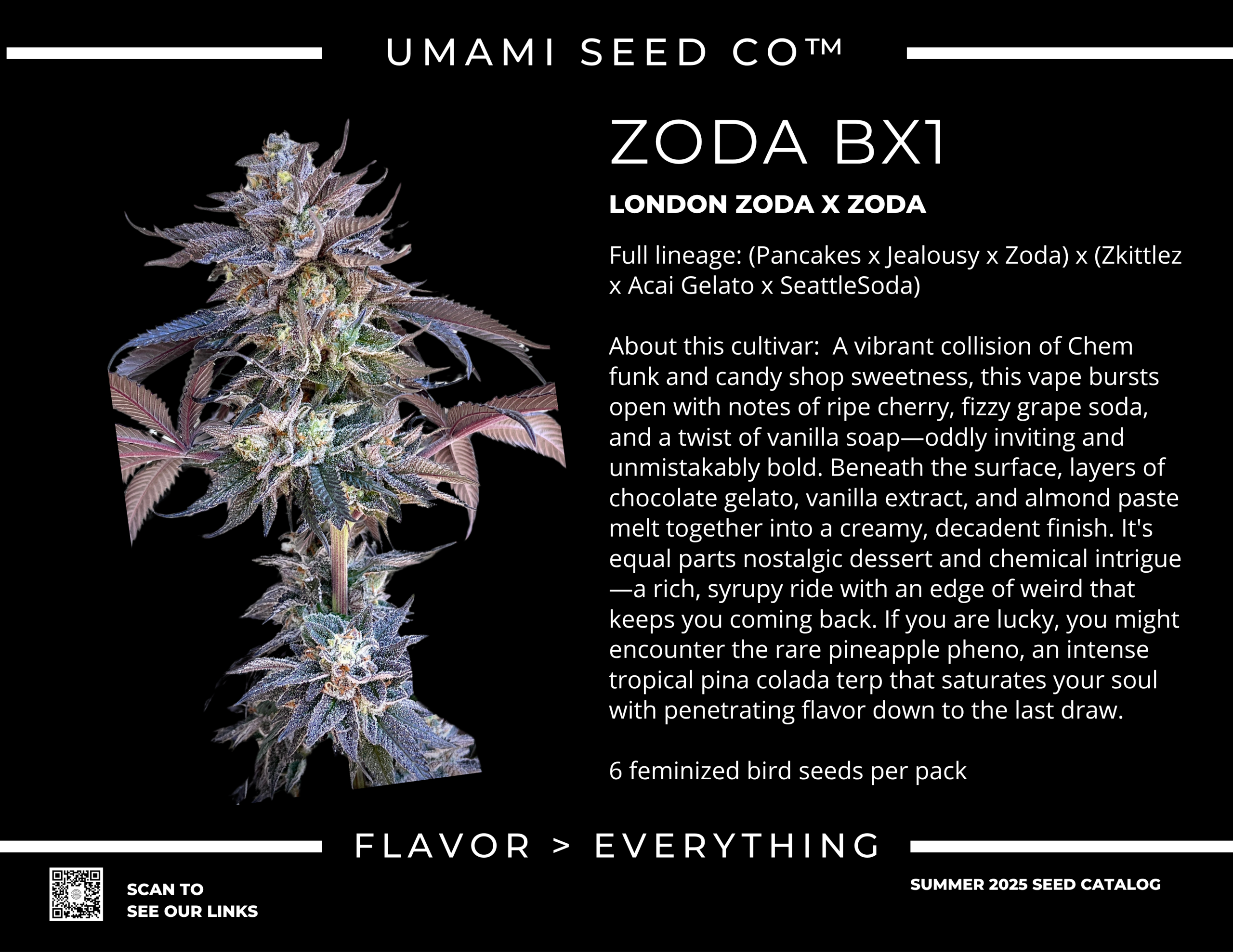 Zoda BX1