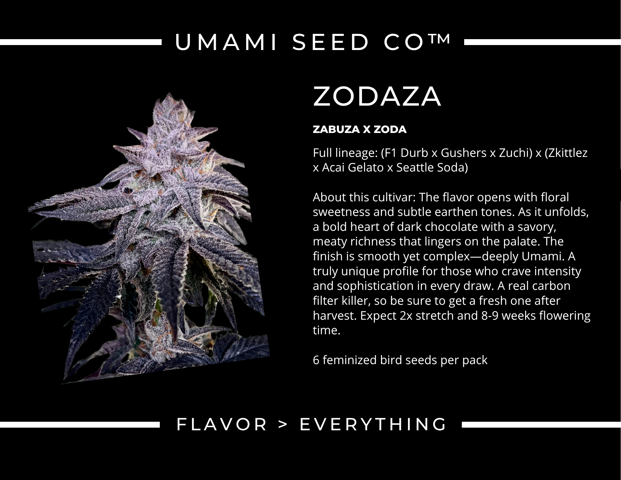 Zodaza
