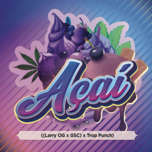 Açaí