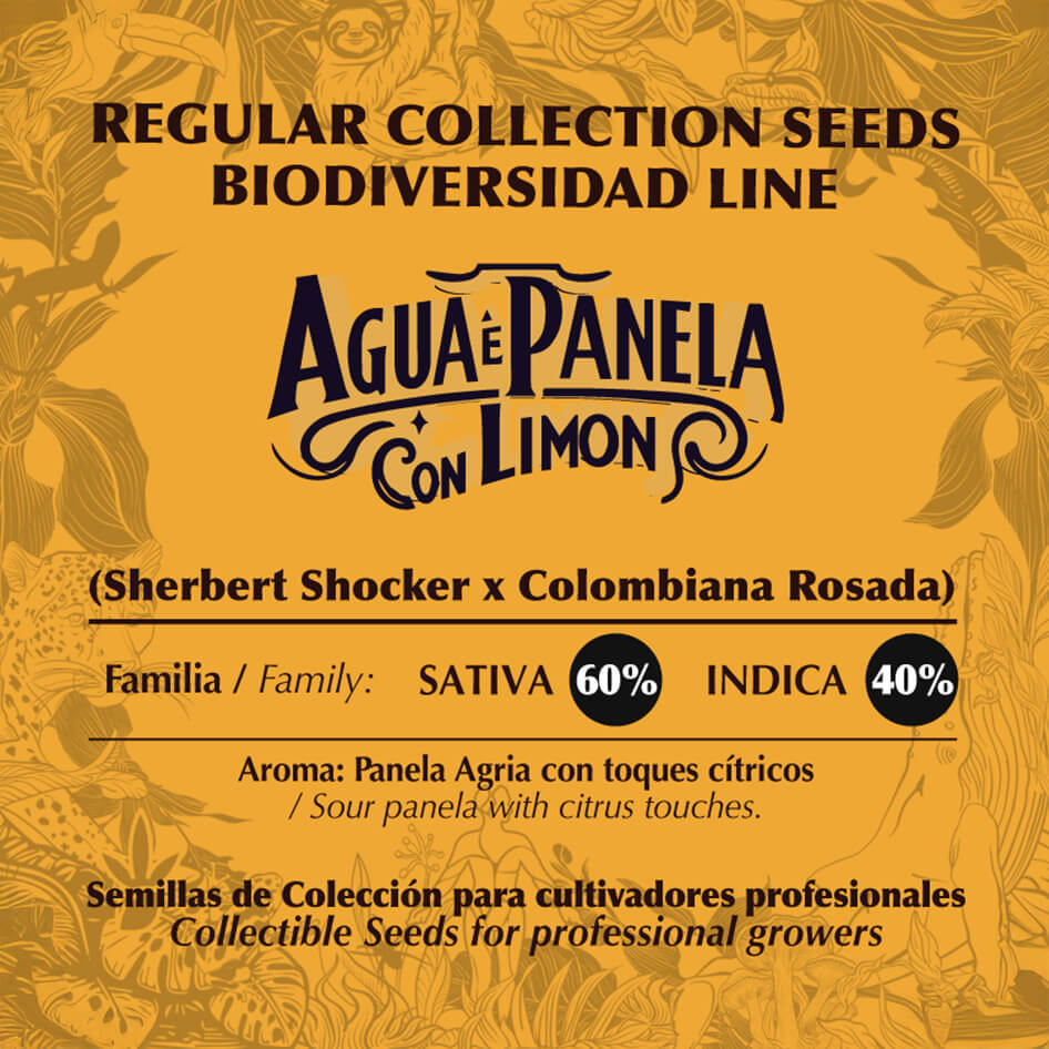 Agua e Panela con Limón