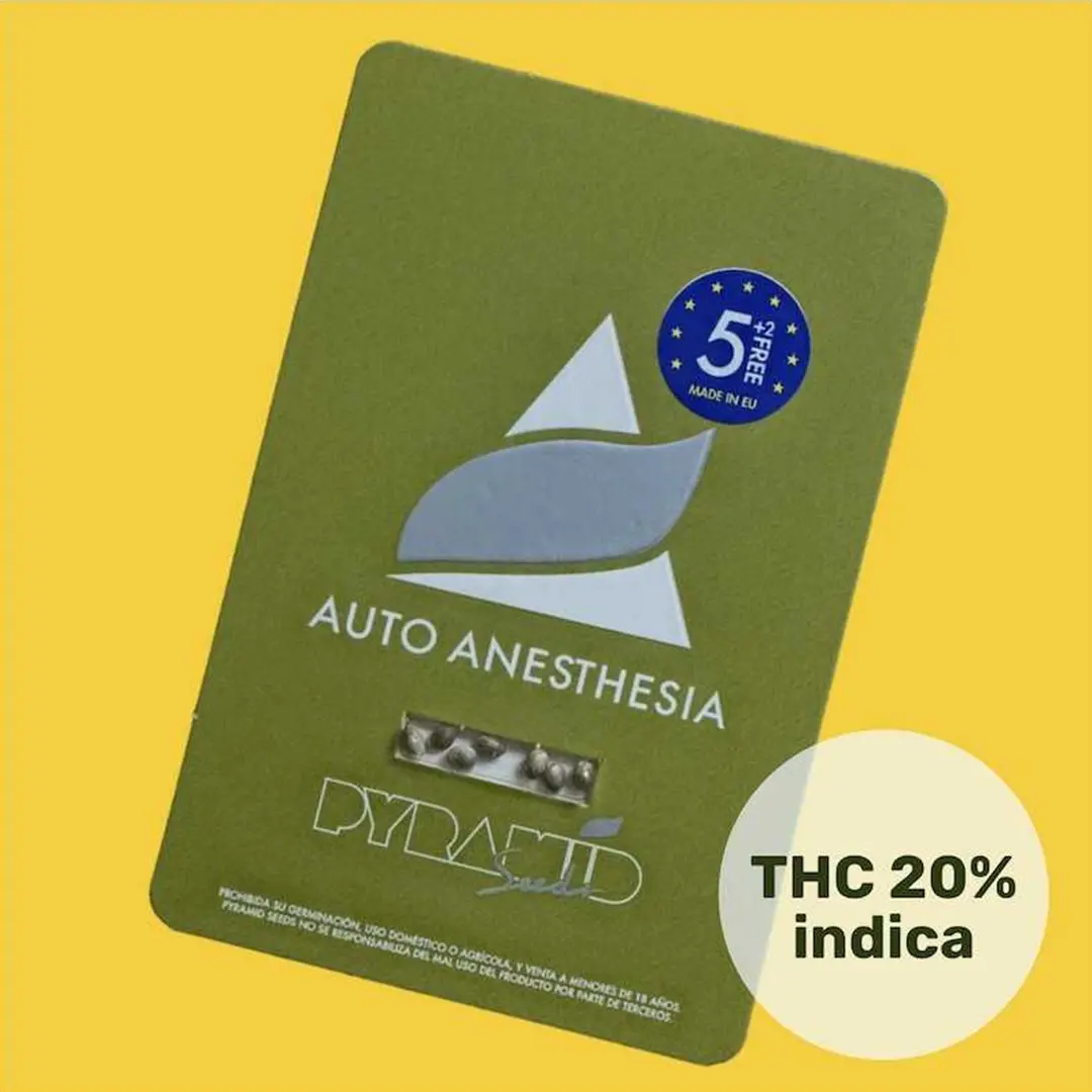 Auto Anesthesia