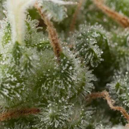 Super Hash