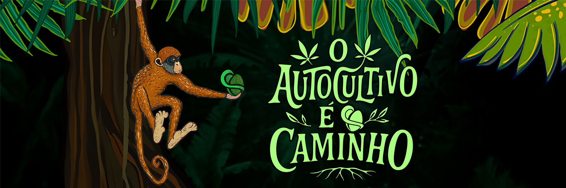 AUTO CULTIVO