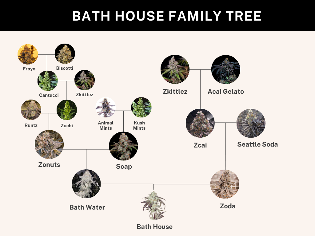 Bath House