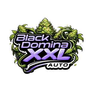 Black Domina XXL Auto