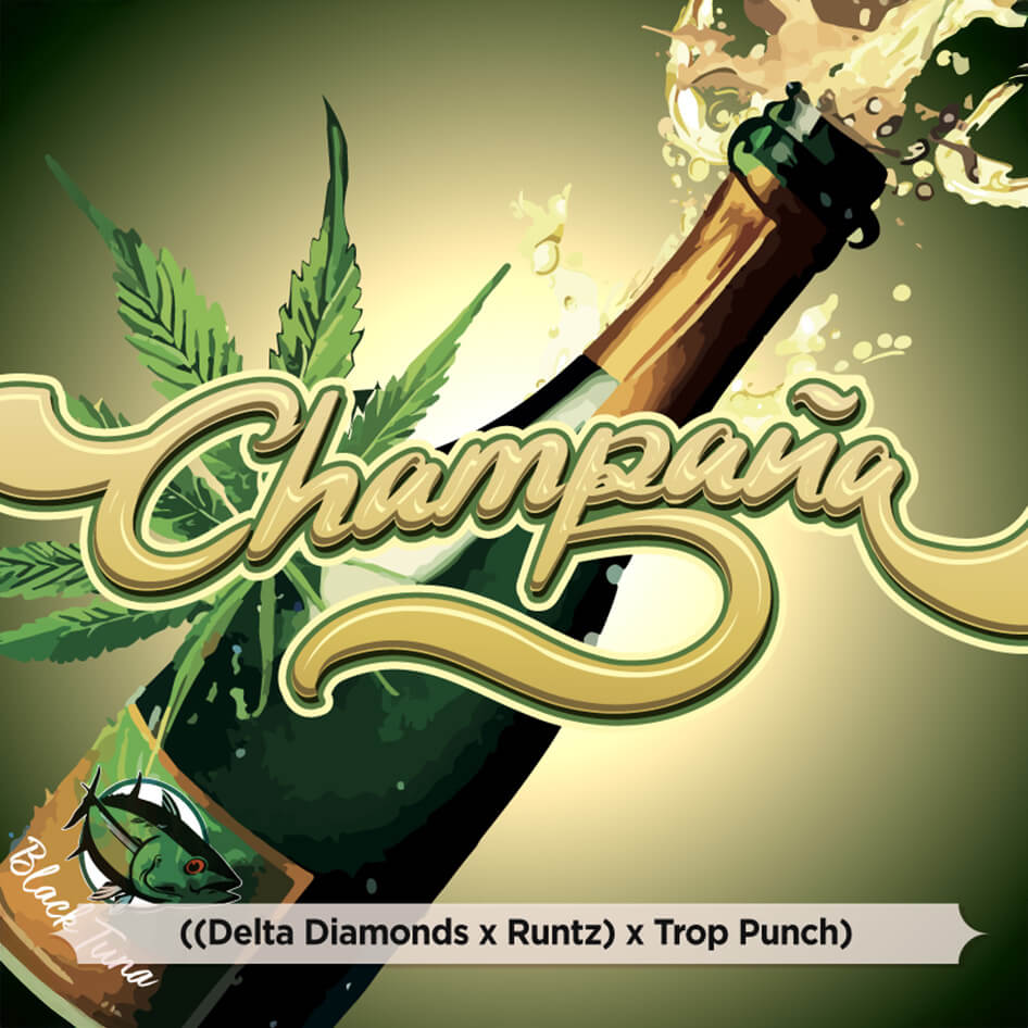 Champaña