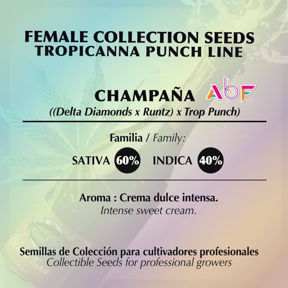 Champaña