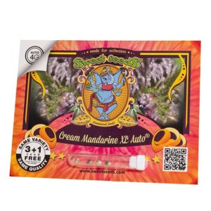 Cream Mandarine XL Auto
