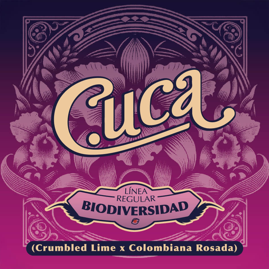 Cuca